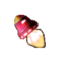 HP BOOST 1H