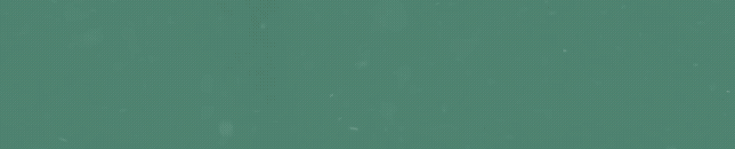 Banner 3